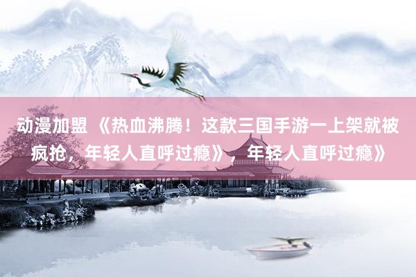 动漫加盟 《热血沸腾！这款三国手游一上架就被疯抢，年轻人直呼过瘾》，年轻人直呼过瘾》