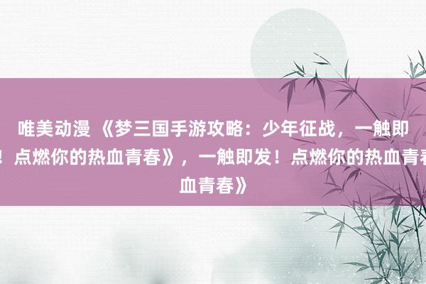 唯美动漫 《梦三国手游攻略：少年征战，一触即发！点燃你的热血青春》，一触即发！点燃你的热血青春》