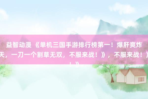 益智动漫 《单机三国手游排行榜第一！爆肝爽炸天，一刀一个割草无双，不服来战！》，不服来战！》