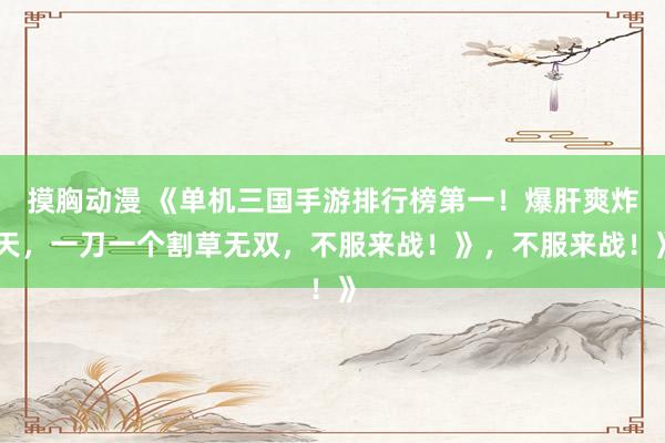 摸胸动漫 《单机三国手游排行榜第一！爆肝爽炸天，一刀一个割草无双，不服来战！》，不服来战！》