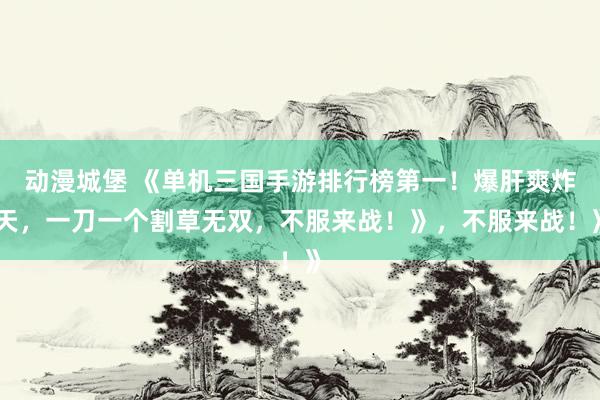 动漫城堡 《单机三国手游排行榜第一！爆肝爽炸天，一刀一个割草无双，不服来战！》，不服来战！》