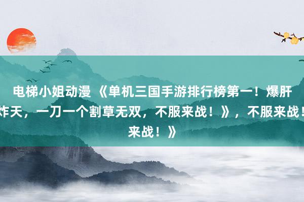 电梯小姐动漫 《单机三国手游排行榜第一！爆肝爽炸天，一刀一个割草无双，不服来战！》，不服来战！》