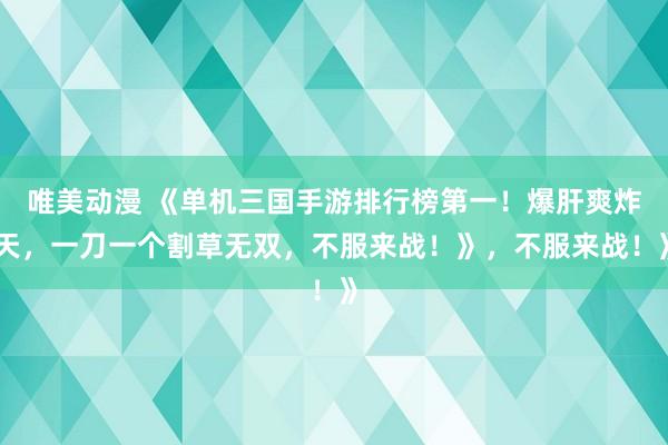 唯美动漫 《单机三国手游排行榜第一！爆肝爽炸天，一刀一个割草无双，不服来战！》，不服来战！》