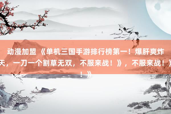 动漫加盟 《单机三国手游排行榜第一！爆肝爽炸天，一刀一个割草无双，不服来战！》，不服来战！》